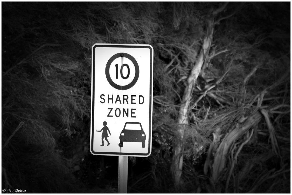 Monochrome photo of a roadside sign marking a shared zone with a 10 km/h speed limit.

The sign includes icons of a pedestrian and a car, emphasizing co-use of the area. Surrounded by dense foliage, the setting suggests a quiet, possibly residential or park-adjacent zone where caution and courtesy are key.