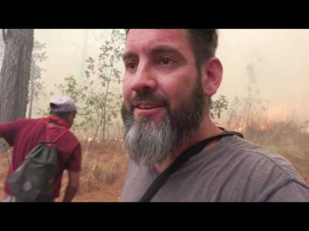 Forest fire! 2017 - The first fight - Check out the amusing AI summary.