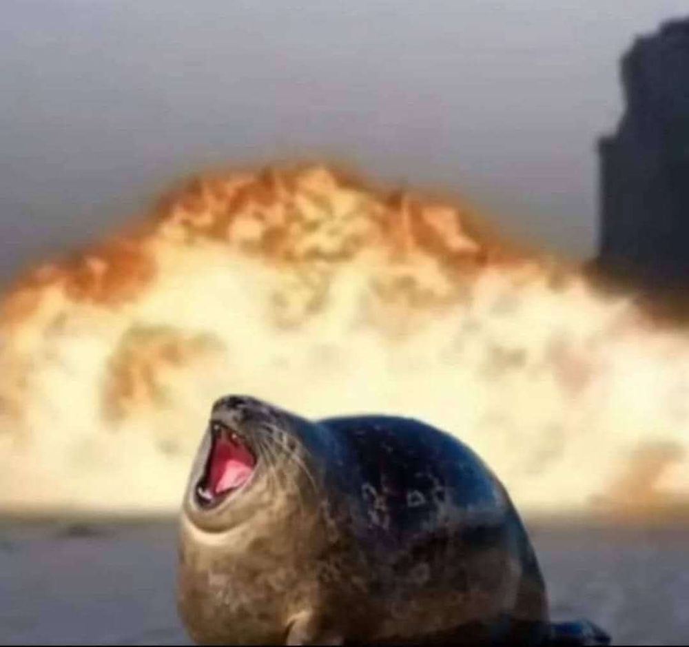 Comment image