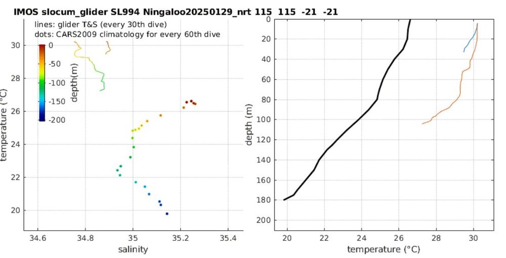 Chart of glider observations of temperate at depth , on the right , Black line is climatology (whats normal) coloured lines are current observations from the glider it shows water uniformly 3-4 deg hotter than normal as far as the glider has been able to measure so far (which is 100m deep) . latest charts at https://oceancurrent.aodn.org.au/gliders/index.php 