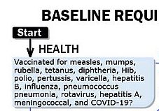 The very first item in the very first group is HEALTH, specifically "Vaccinated for measues, mumps, rubella, tetanus, diptheria, Hib, polio, pertussis, varicella, hepatitis B, influenza, pneumococcus pneumonia, rotavirus, hepatitis A, meningococcal, and COVID-19?"