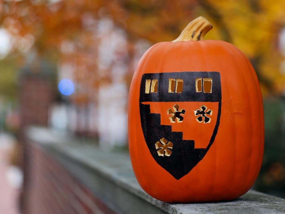 pumpkin with the HGSE logo