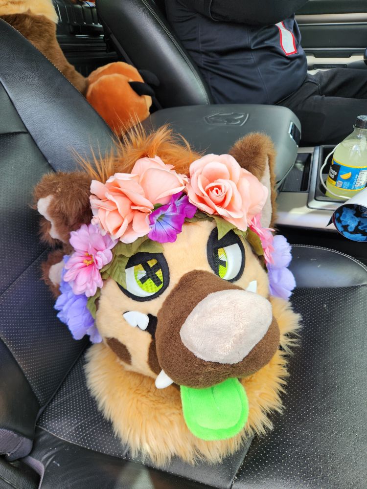 A spotted hyena fursuit head with floral crown in the front passenger seat of a truck!