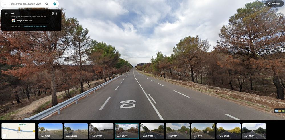 Site sausset les pins en 2020 après l'incendie, la végétation est toujours présente mais fortement brulée