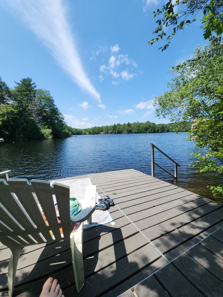 The sky is blue, and the lake. There are clouds, wispy. And green, in many kinds of trees, nearby, and on the far shore. Fishing line hangs from some of the nearest trees, though I don't know if it's visible in the picture. The leaves of the beech tree, top right, are succumbing to beech leaf disease. 