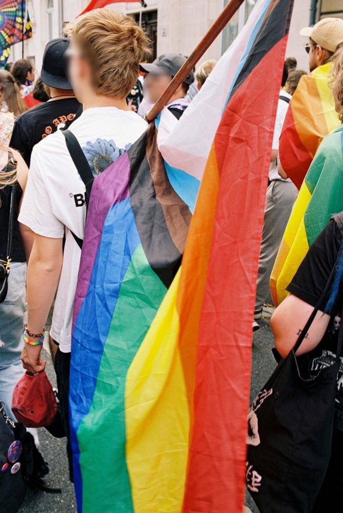 At a demonstration someone is wearing a so called Progress-Flag on their back.