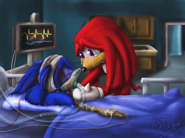É um meme que consiste no desenho do sonic todo ferrado em uma cama de hospital com o personagem knuckles chorando em pé com a mão sobre o corpo do sonic.