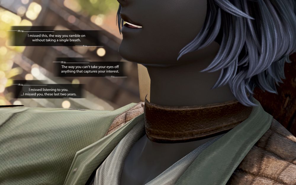 A shot of Erenville from Irein's point of view- she's watching his mouth.

Irein (internally): I missed this, the way you ramble on without taking a single breath.

The way you can't take your eyes off anything that captures your interest.

I missed listening to you.
...I missed you, these last two year.