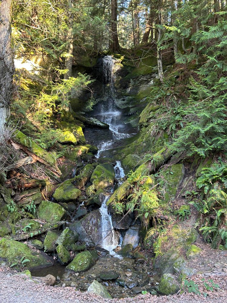 A photo of a waterfall running through moss-covered rocks, surrounded by trees. 