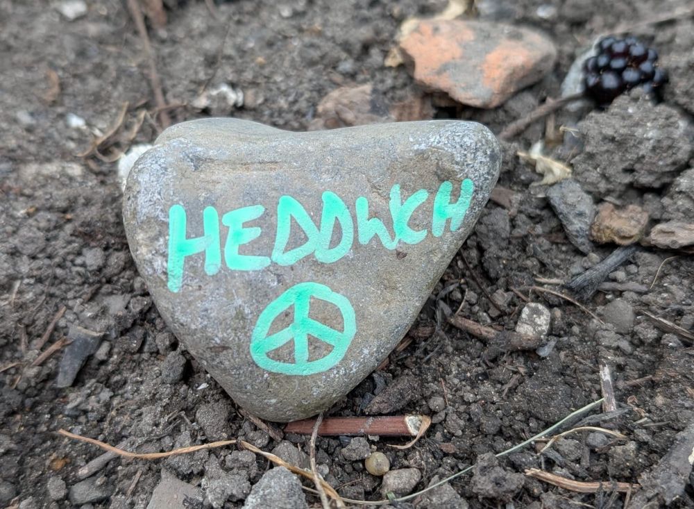 A pebble with the word “Heddwch” and the CND symbol written on it placed in a flower bed at the museum garden.
