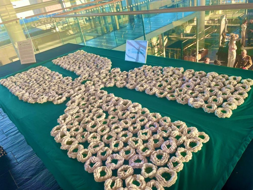 A display of white crocheted flowers set on a table in the Senedd.