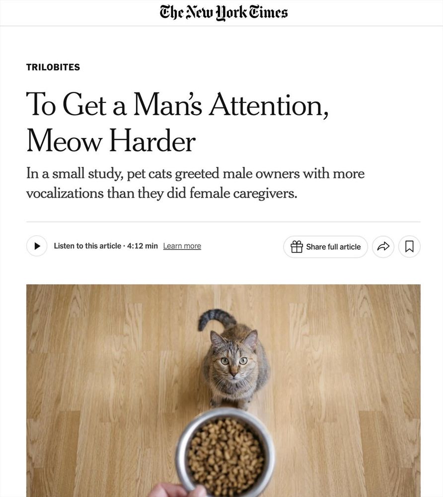 NYT article reading "To get a man's attention meow harder" about cats meowing more to men because men pay less attention in general.