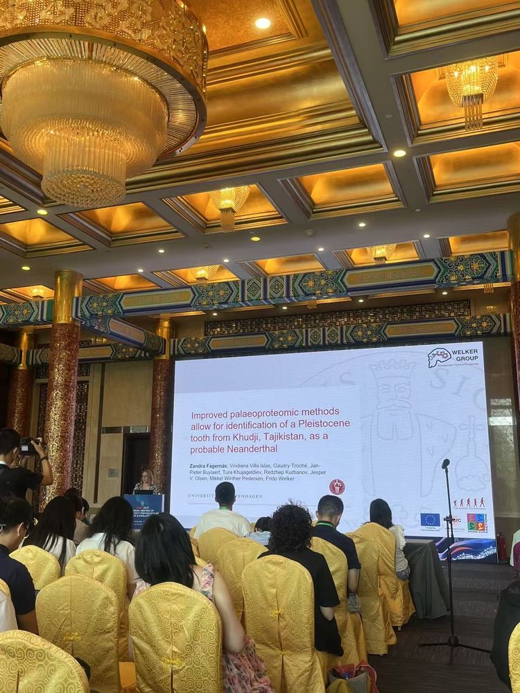 Photo of me giving a talk in a very fancy room! Photo taken by Viridiana Villa Islas.