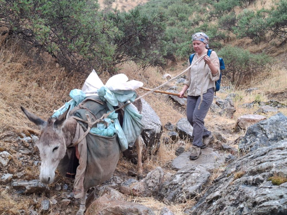 Me walking our donkey friend, who we called Appa, to transport sediment bags downhill. I miss him already, such a sweet donkey!
