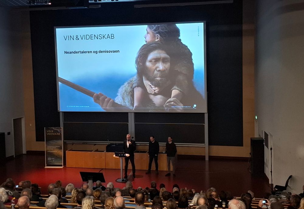 Photo of the organizer, Laurits and Frido standing in front of the screen.