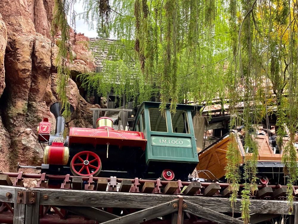 a big thunder mountain railroad locomotive coaster train zooms by under weeping leafy tree branches 