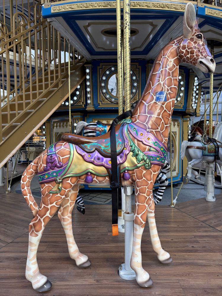 closer view of a shiny giraffe for riders on a carousel, wearing a jewel toned purple and green saddle