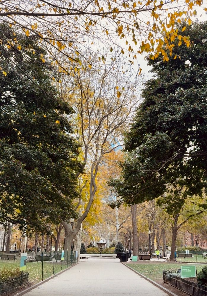 view of empty paved path in a park underneath leafy trees with a small
kiosk in distance. Rittenhouse Square Philadelphia 