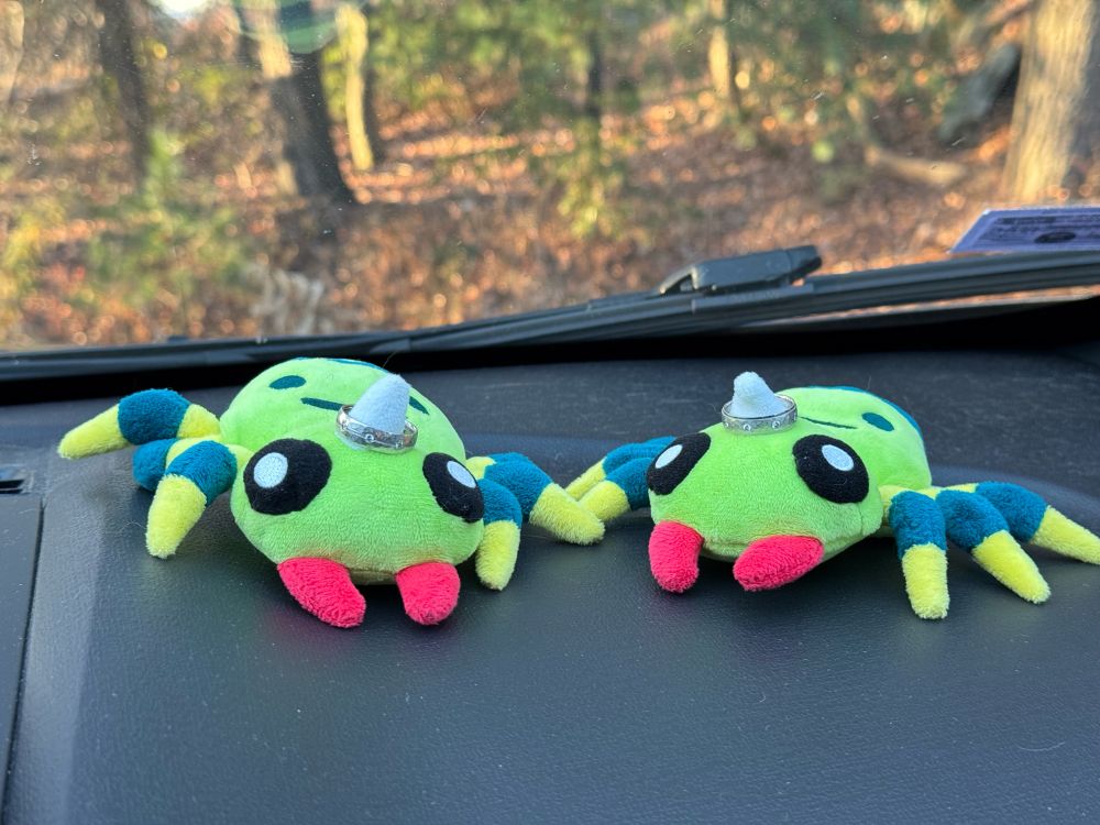 Two spinaraks holding our wedding rings