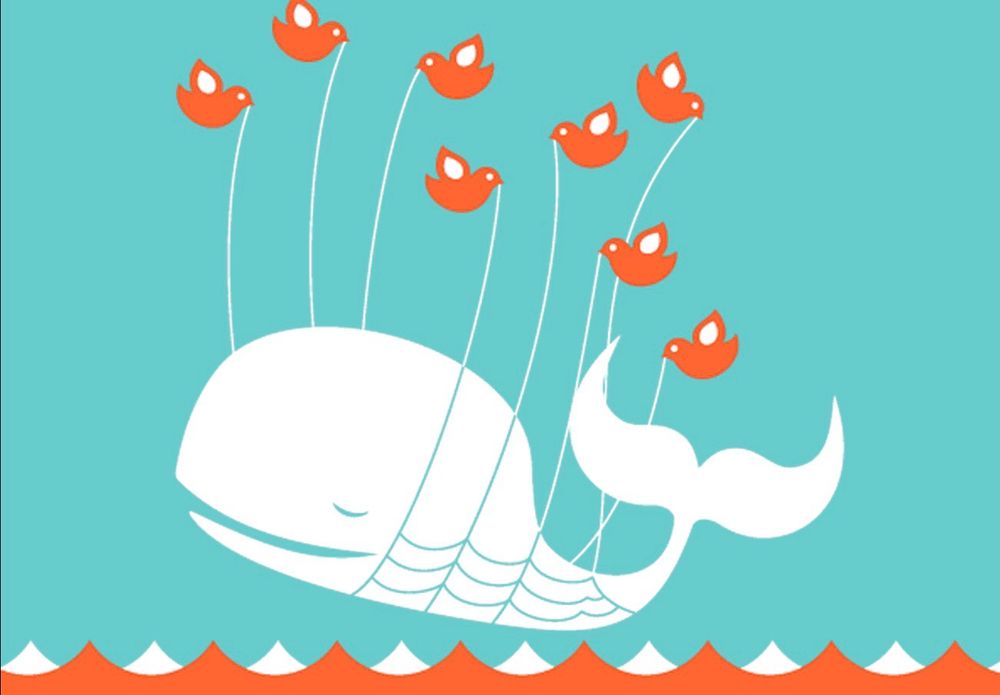 A whimsical illustration of a cartoon white whale being hoisted above red and white waves by eight Twitter-birds holding the strings in their beaks.