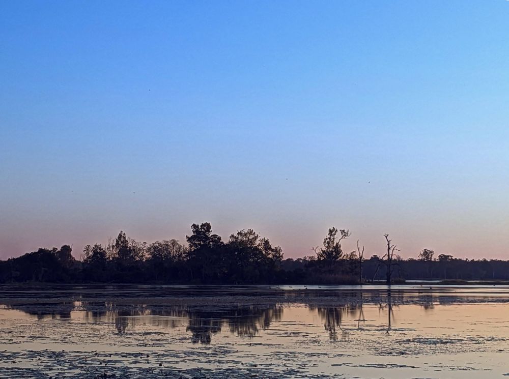 Photo of a lake with trees reflected in the water and a blue hazy sky in the background