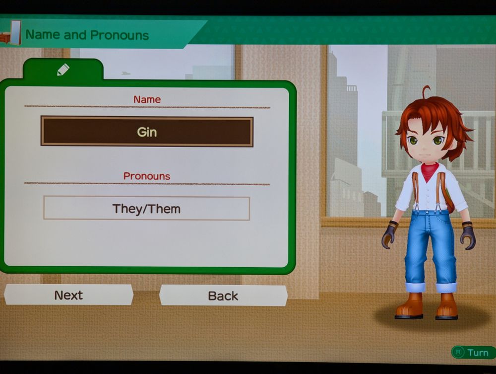 Screenshot of Story of Seasons A Wonderful Life with the character name Gin and They/Them selected for the pronouns.