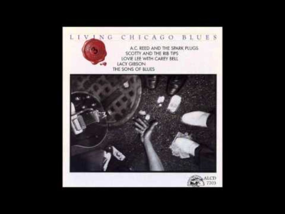 Lovie Lee with Carey Bell - Sweet little girl