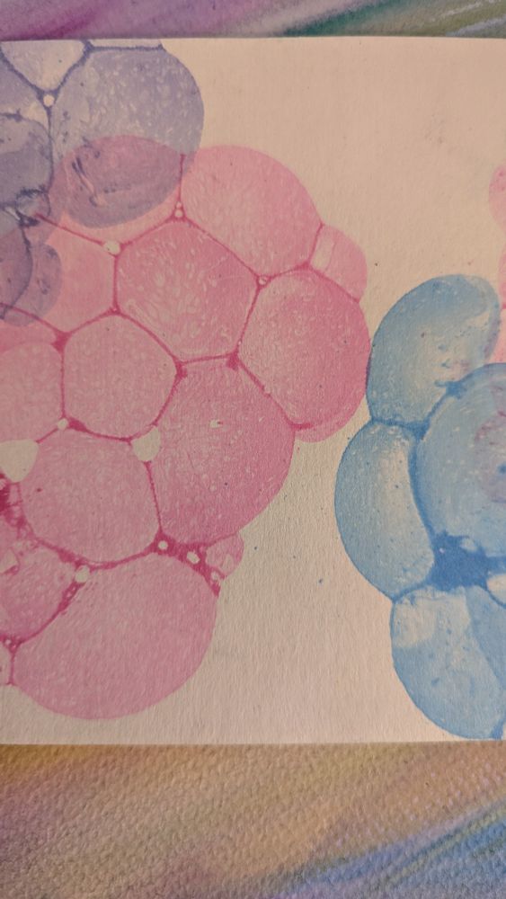 Colorful bubble print