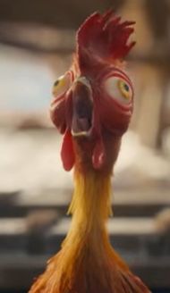 A screenshot of Hehe the chicken from the teaser of Disney's live action Moana remake.