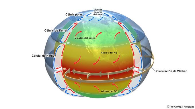 Circulación general terrestre con las tres células en cada hemisferio y los vientos del oeste en la de Ferrel  y los alisios del este en la de Hadley y la célula polar