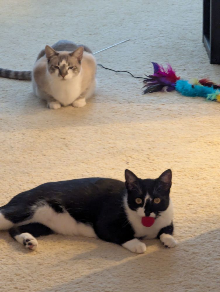 Bumi looking stoned, Zuko with ball in his mouth.