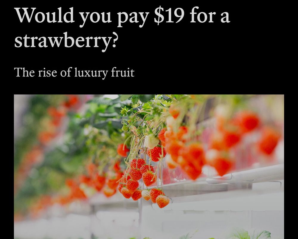 Would you pay $19 for a strawberry?
The rise of luxury fruit