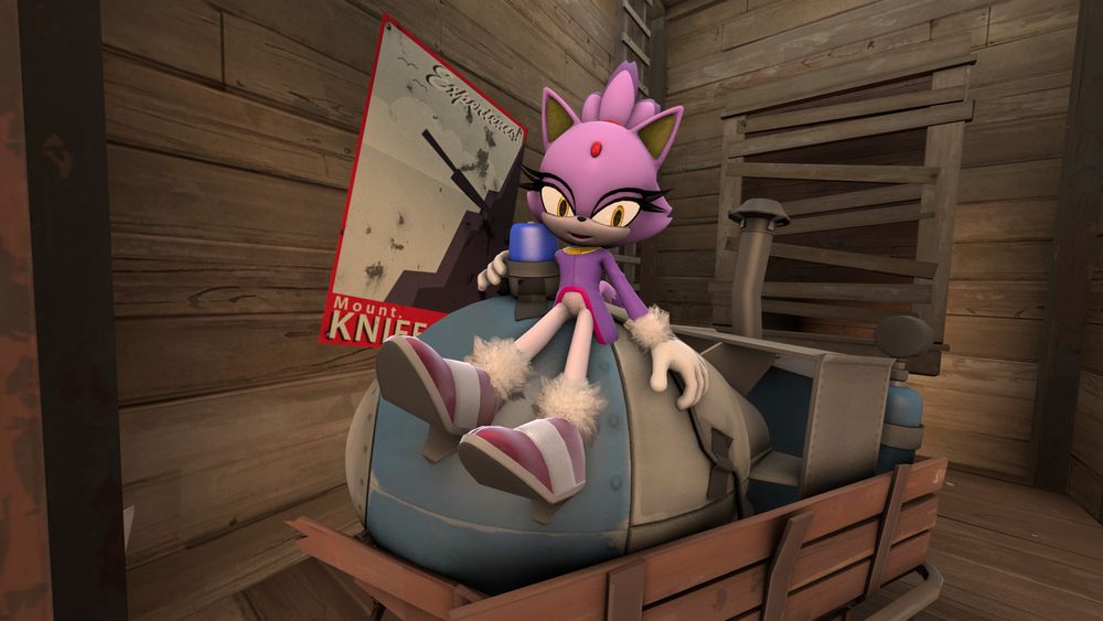 Blaze the Cat sitting on a TF2 payload cart, looking only vaguely drunk.