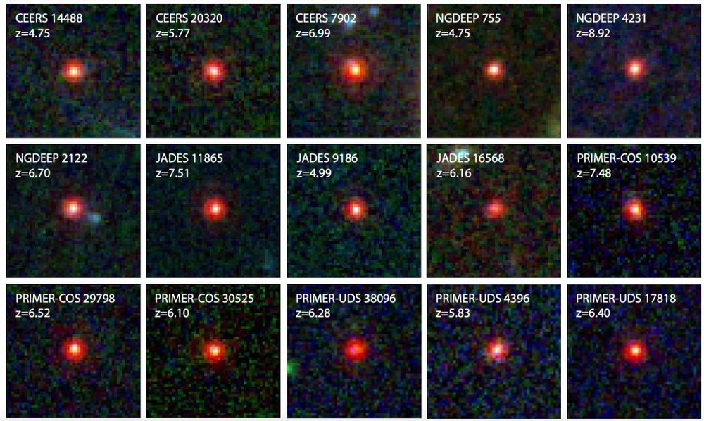 This image shows 15 of the 341 hitherto identified “little red dot” galaxies discovered in the distant Universe by JWST. These galaxies all exhibit similar features, but only exist very early on in cosmic history; there are no known examples of such galaxies close by or at late times. All of them are quite massive, but some are compact while others are extended, and some show evidence for AGN activity while others do not.