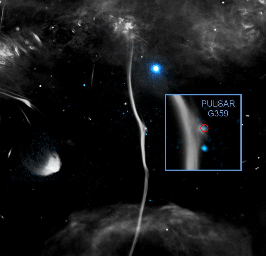This release features two composite images of a long, thin, cosmic structure. With the structure's vertical orientation, seemingly fragile dimensions, and pale grey color against the blackness of space, the images resemble medical X-rays of a long, thin, bone. The main image shows the structure in its entirety. The inset image is an annotated close-up highlighting an apparent fracture in the bone-like structure.

The structure, called G359.13, or "The Snake", is a Galactic Center Filament. These filament formations are threaded by parallel magnetic fields, and spiraling, energized particles. The particles cause radio waves, which can be detected by radio arrays, in this case by the MeerKAT array in South Africa.

In the first composite image, the largely straight filament stretches from the top to the bottom of the vertical frame. At each end of the grey filament is a hazy grey cloud. The only color in the image is neon blue, found in a few specks which dot the blackness surrounding the structure. The blue represents X-rays seen by NASA's Chandra X-ray Observatory. 

In the annotated close-up, one such speck appears to be interacting with the structure itself. This is a fast-moving, rapidly spinning neutron star, otherwise known as a pulsar. Astronomers believe that this pulsar has struck the filament halfway down its length, distorting the magnetic field and radio signal. 

In both images, this distortion resembles a small break, or spur, in the bone-like filament.