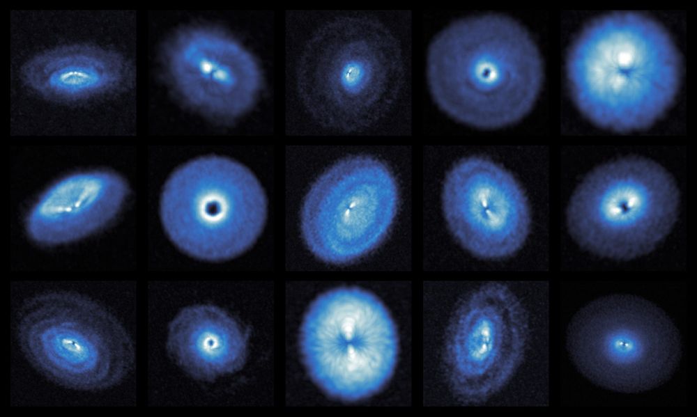 Deep ALMA observations of 12CO emission from fifteen protoplanetary disks reveal a stunning range of structures in the gas morphology including gaps, rings and spirals. Credit: Richard Teague and the exoALMA Collaboration