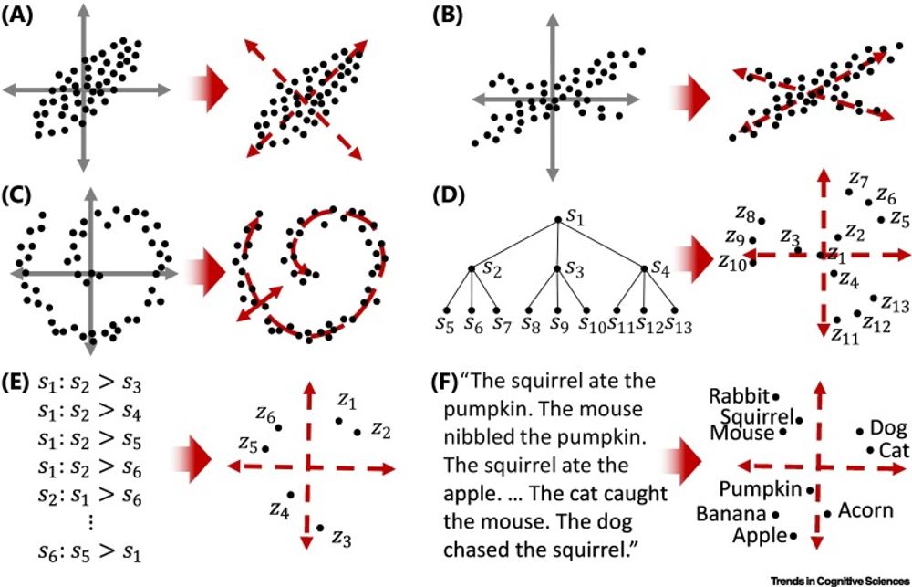 The Dimensions of dimensionality