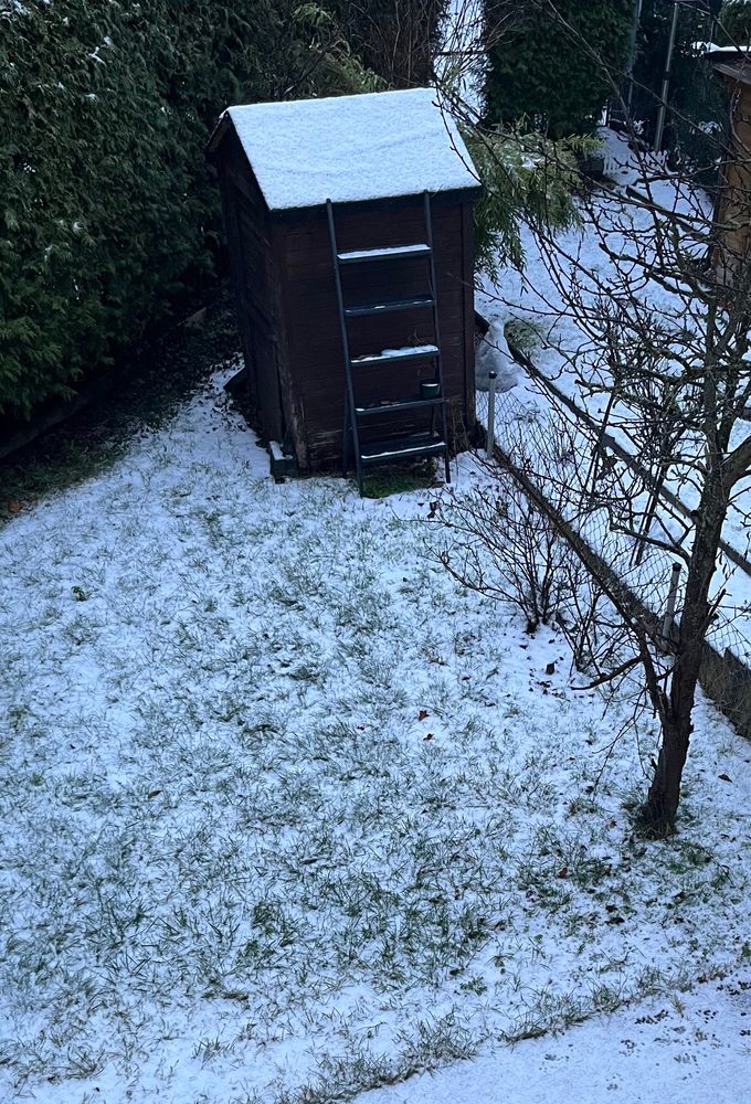 Schnee im Garten