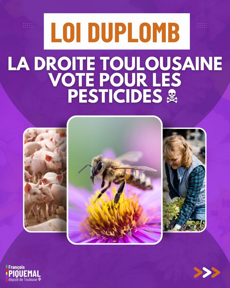 Visuel avec photo d’abeilles / cochons/ agricultrice 