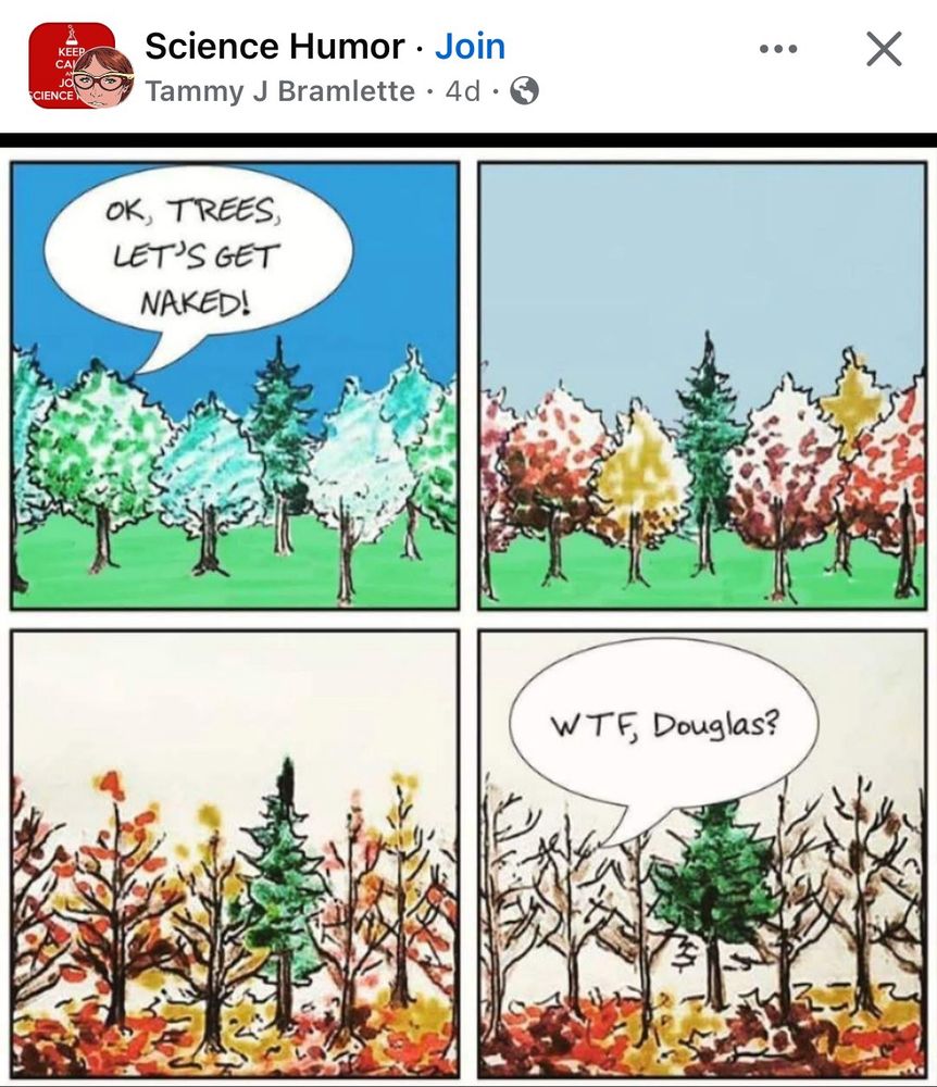 A 4-panel comic strip depicting:

A forest of trees.

One of the trees says “let’s get naked!”

The trees proceed to lose their leaves until one tree, a pine, is the only tree left with green on it.

In the final panel one of the now-naked trees says “WTF, Douglas?”