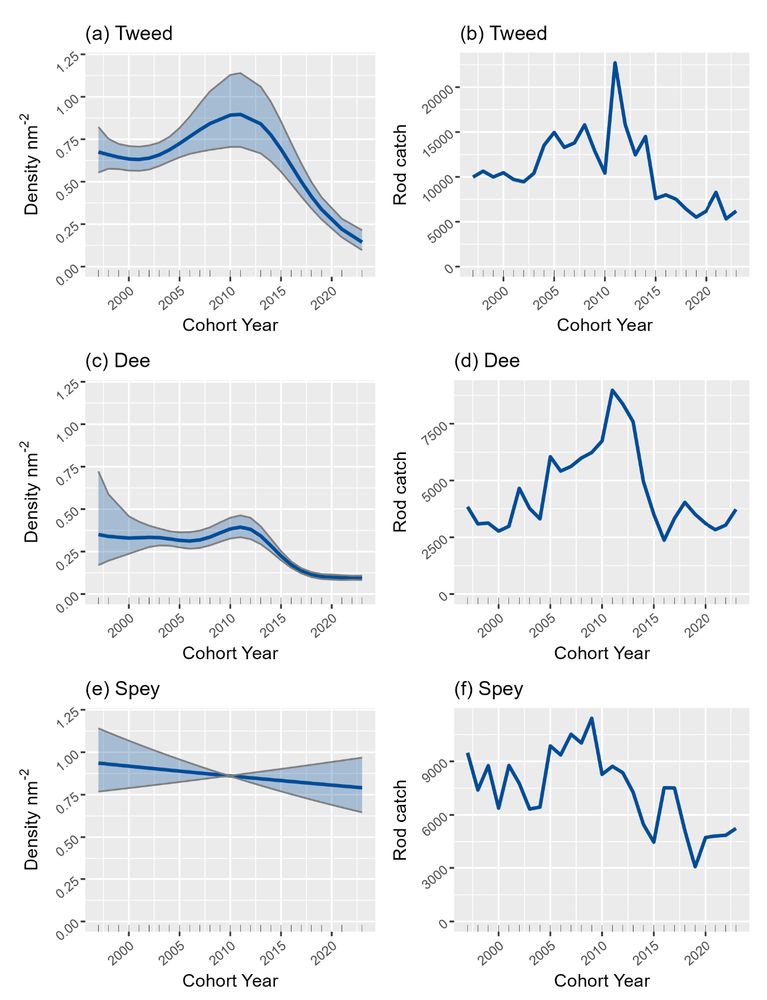 Six panel plot with 3 rows and two columns. Left column shows the modelled partial effect of year on juvenile densities. Right column shows rod catches. Three rows show data for the Tweed, Dee and Spey. There are no significant trends in juvenile abundance on the Spey despite declines in rod catch, suggesting juvenile habitats remain saturated. 