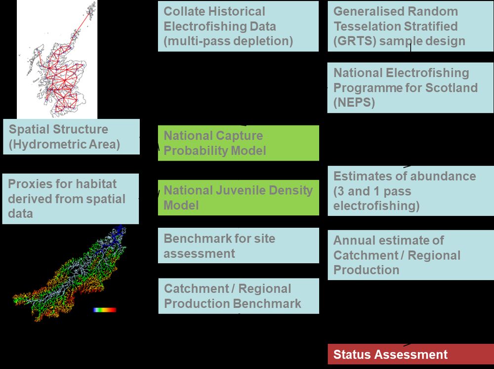 Schematic showing how spatial data, historical electrofishing data and the NEPS survey are brought together to assess the status (health) of salmon and trout.