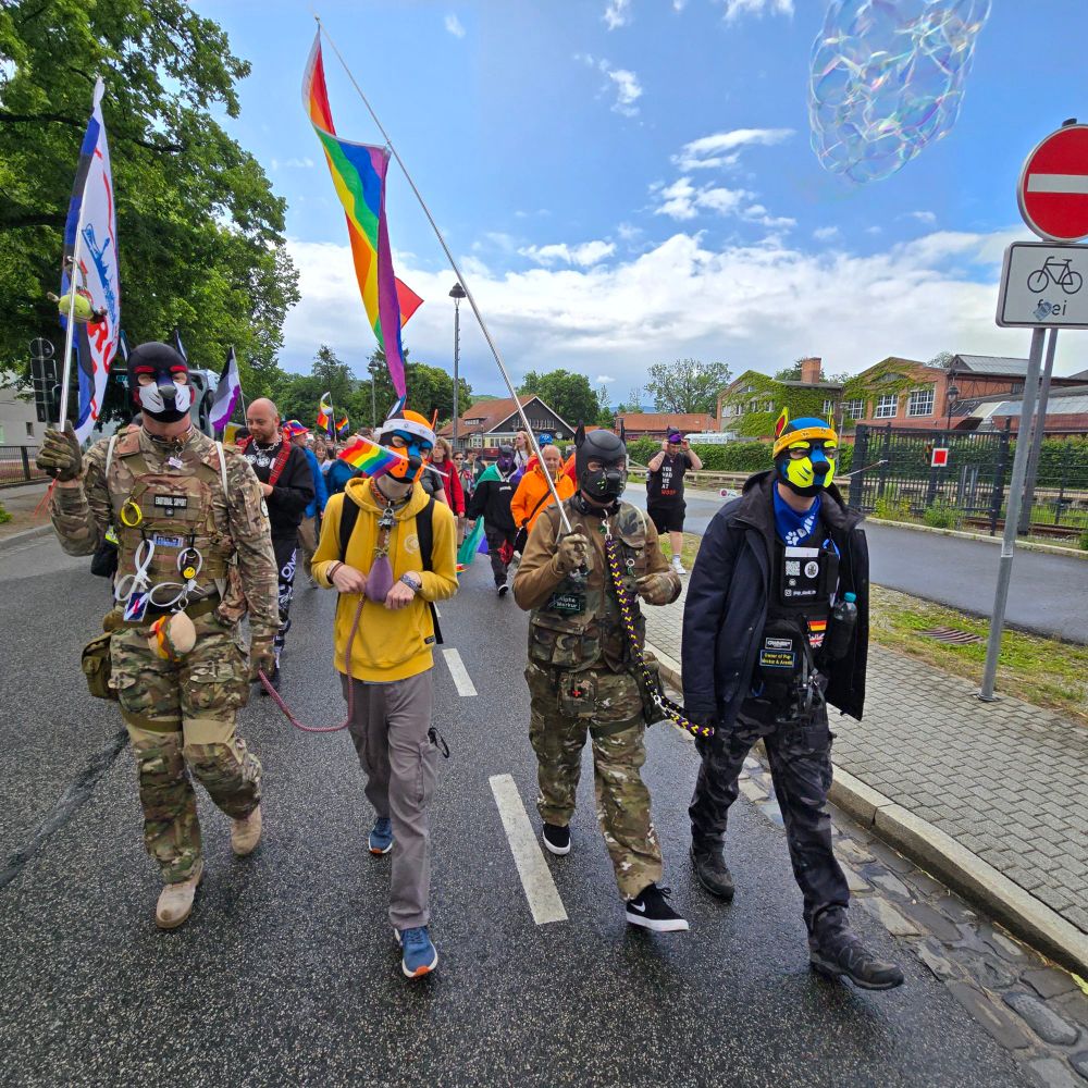 HeRO with his own flag,
Aki with a prode flag in his maw and Merkur with a big pride flag leashed by David walking as part of CSD Wernigerode