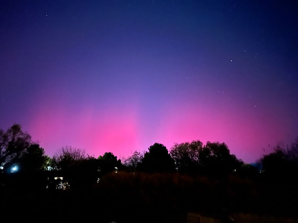 A picture of a dark treeline, with the night sky illuminated in pinks and lighter blues. 