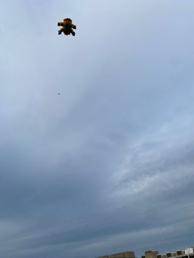 The thing flies away (Joltik plushie) (pretty sky)