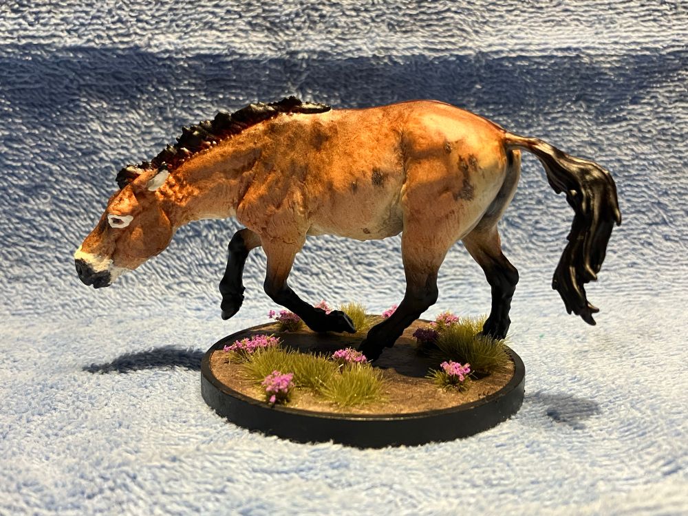 A left side angle of Darga the takhi; note the intentional darker patches of fur in his coat, which are meant to represent scars from combat with other stallions in defense of his family.