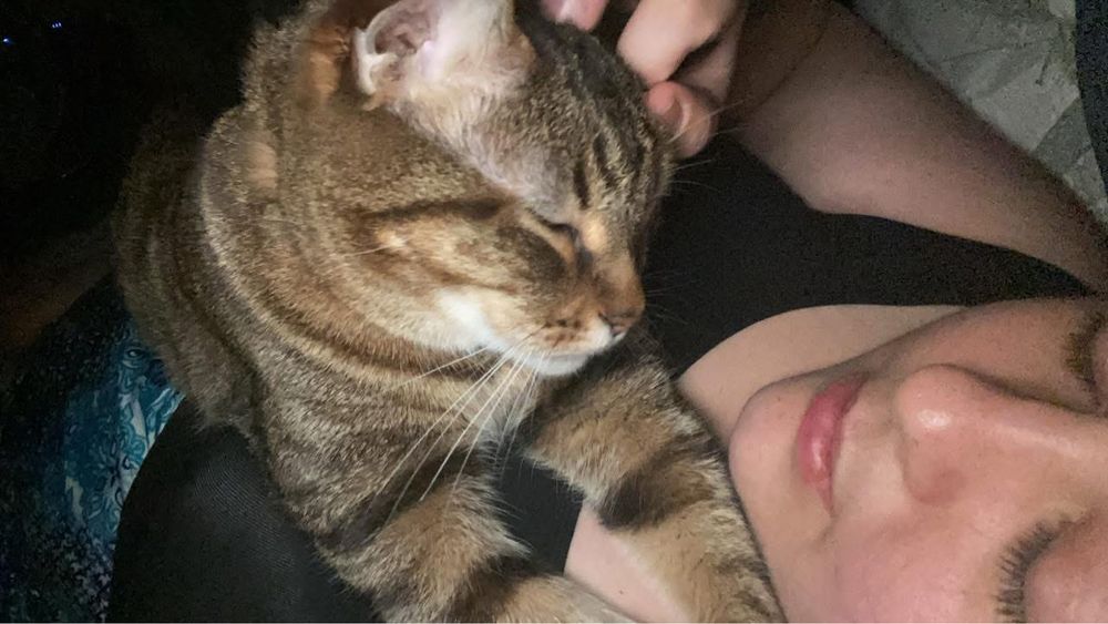 Selfie of me and my familiar cat lying on top of my abdomen