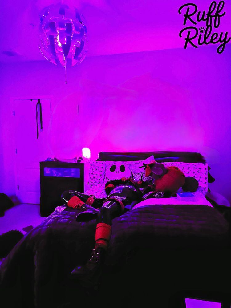 A person in a black and red pup hood and matching latex outfit is lying down on a messy bed in a dim, purple-lit room