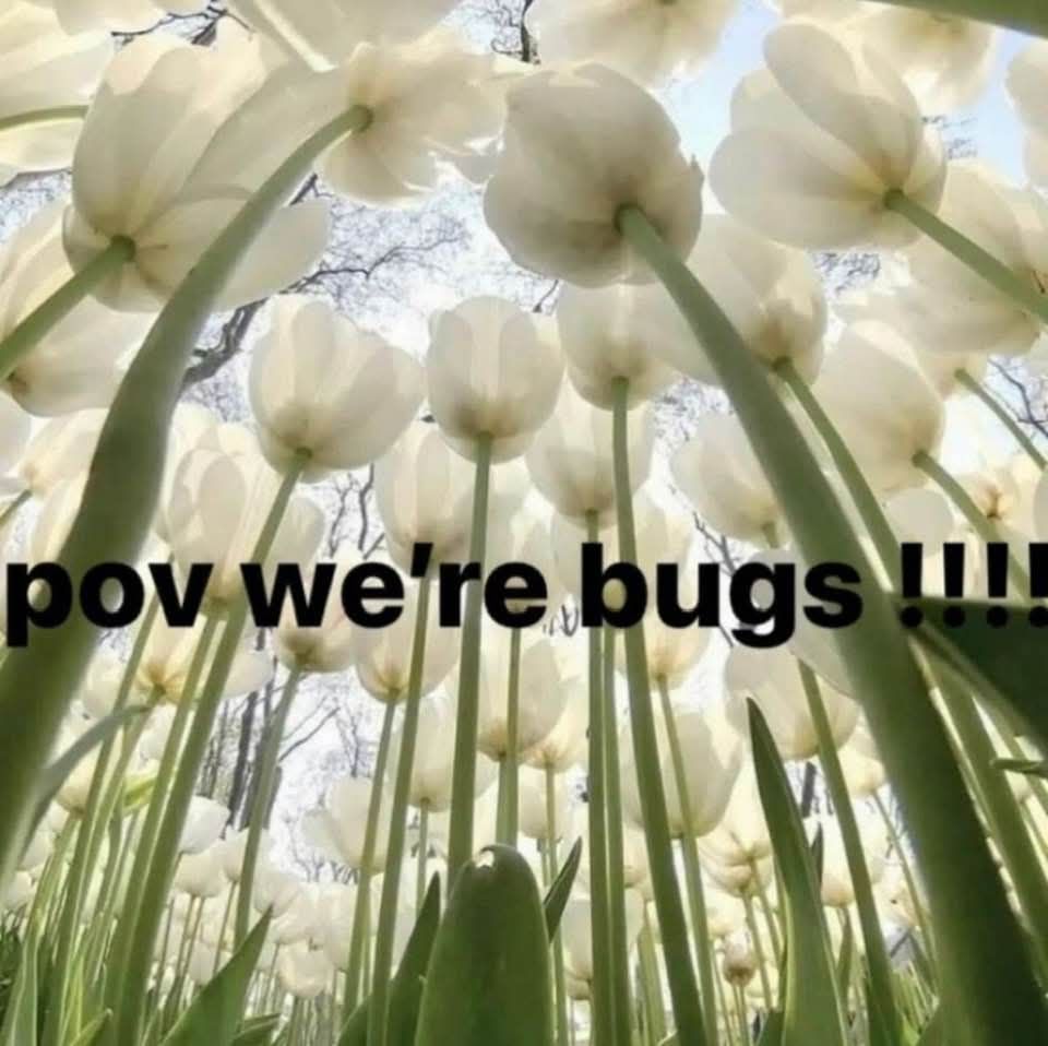 An image of your pov from under a bunch of flowers with the text "pov were bugs!!!!"