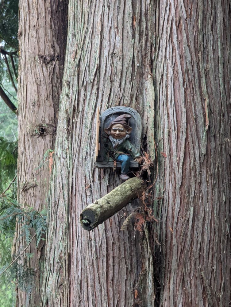 A gnome ornament in a tree. The gnome is stepping outside of a door onto a branch.